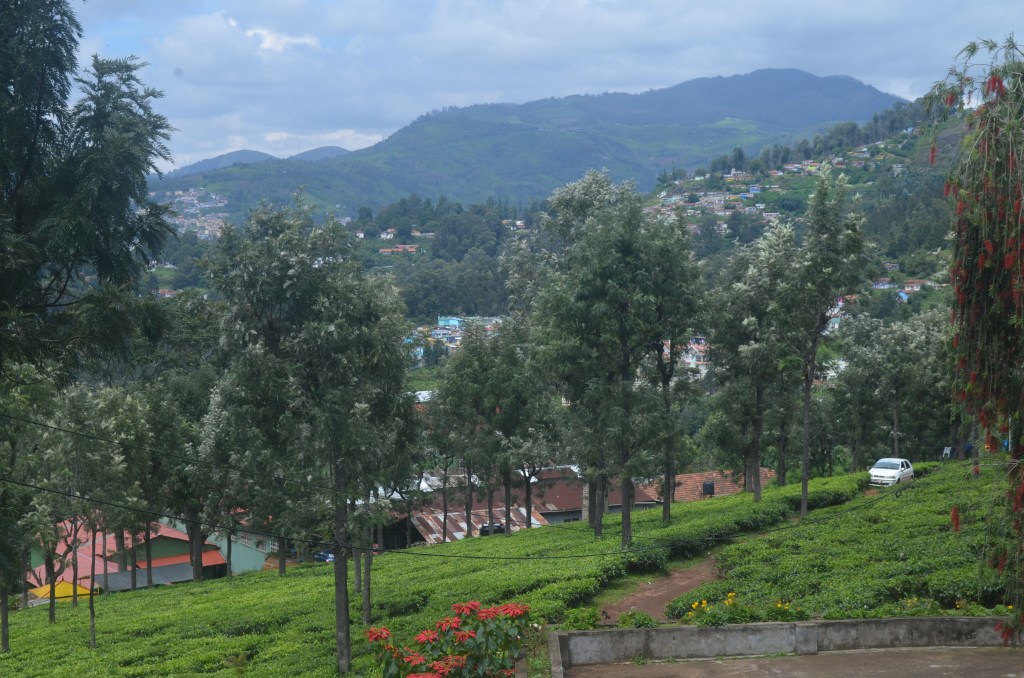 Things to do in&nbsp;Coonoor